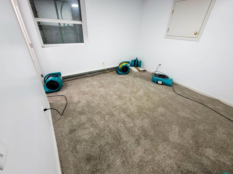Specialized Carpet Restoration Services