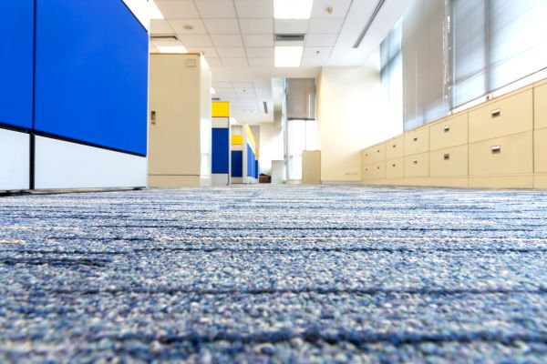Business Carpet Cleaning in Edison