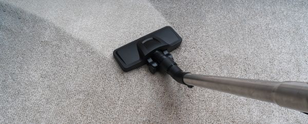 Condo Carpet Cleaning in Edison